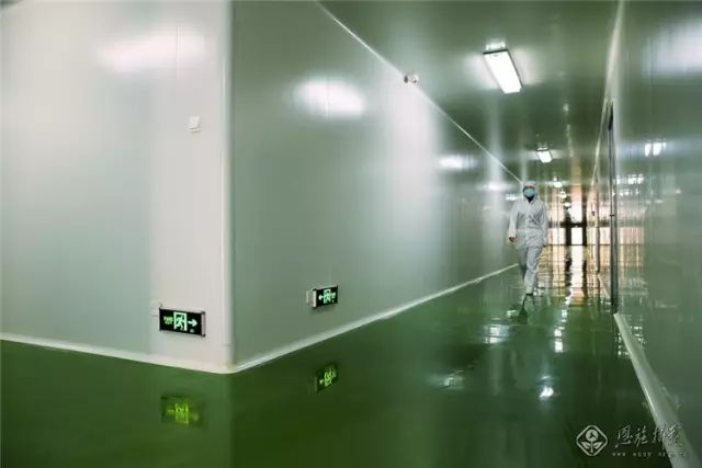 113756574.jpg 1(6).jpg